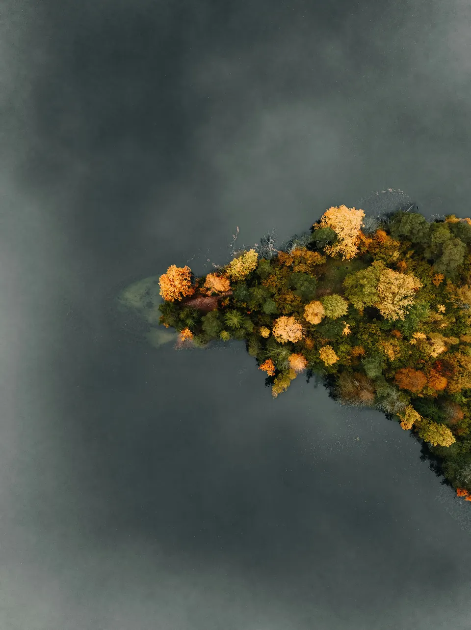 Un petit paysage fleuri suspendu au-dessus d’une eau sombre