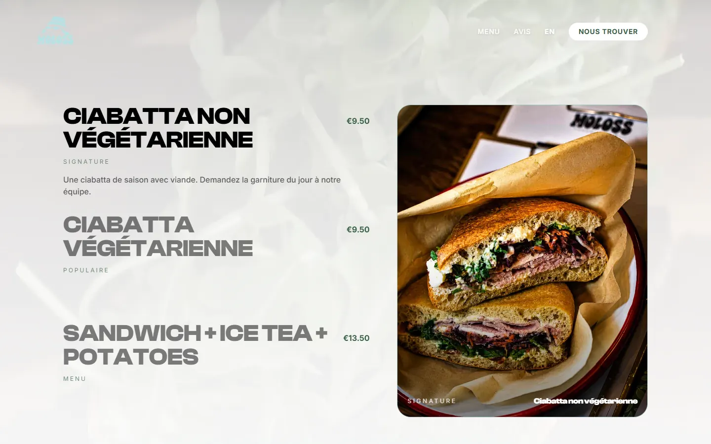 Desktop view of the interactive MOLOSS menu