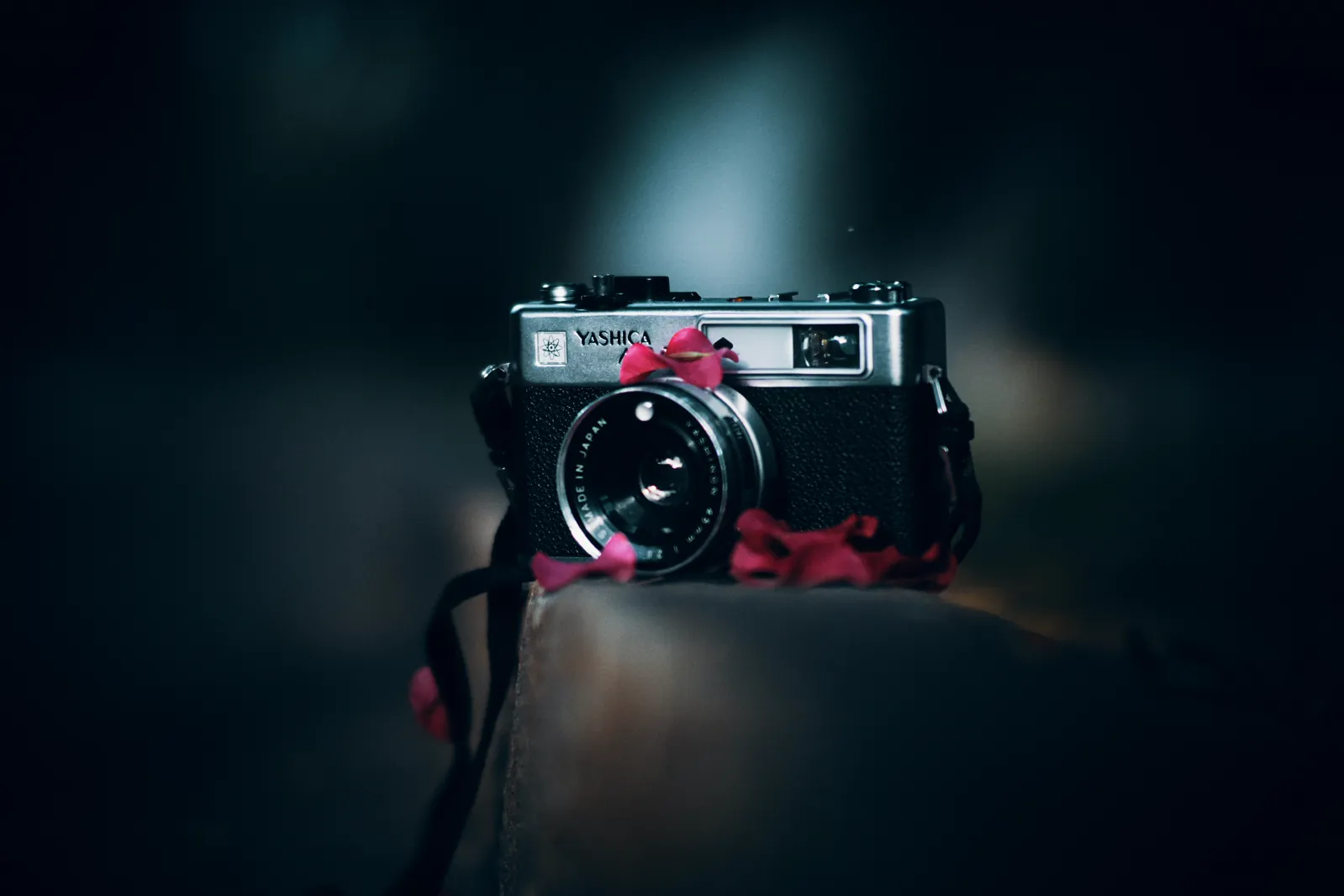 The Picture Network project visual